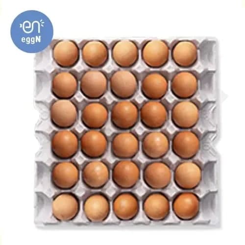 맥반석 구운란 30구+30구 대란 (15,975원 / 무료)