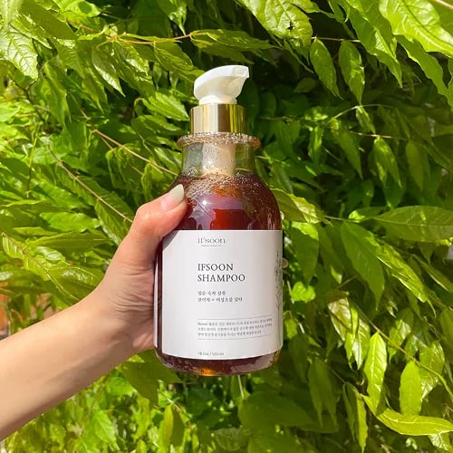 잎순 숙차샴푸 550ml 생차샴푸 500ml 1개 골라담기