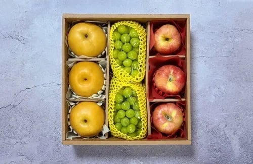 혼합 과일세트 (무료배송)