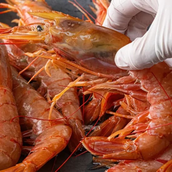 랍스타 킹 단새우 2kg 36미