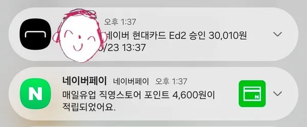 페레로로쉐 5구 12개 60개