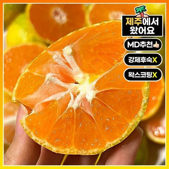 타이벡 귤 10kg