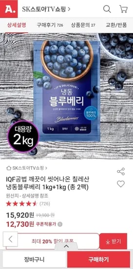칠레산 세척 냉동블루베리 1kg 2팩 총 2kg