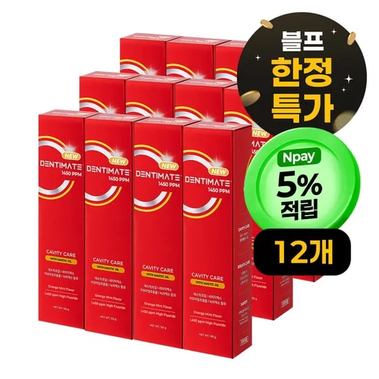 덴티메이트 뉴 1450 고불소 매스틱 치아 충치 치약 150g 12개입