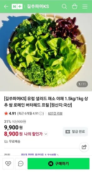 유럽 샐러드 야채 1kg 5종 이상