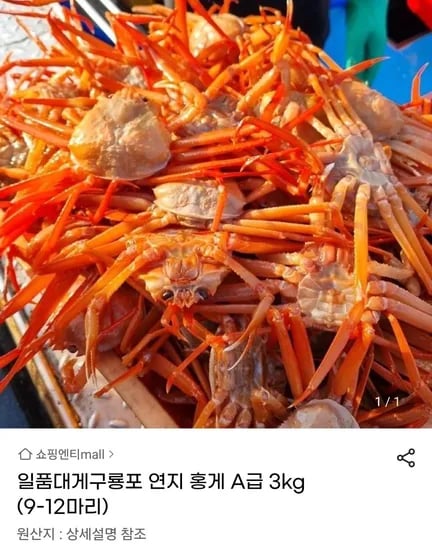 구룡포 연지 홍게 A급 3kg 9-12마리