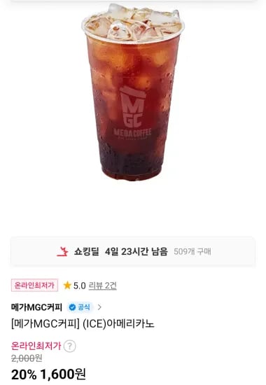 메가커피 아이스아메리카노 외*    Wait, let's look at the input again: 메가커피 아이스아메리카노 외 2