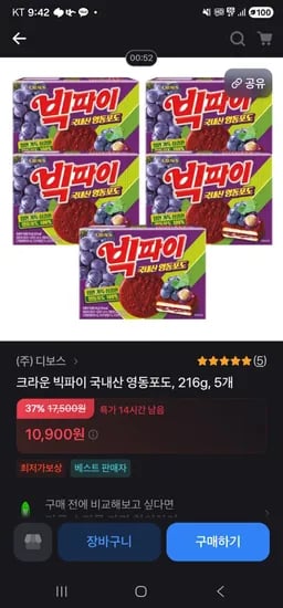 빅파이 영동포도