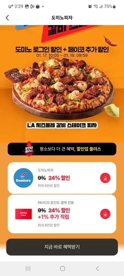도미노피자 페이코 24% 추가할인