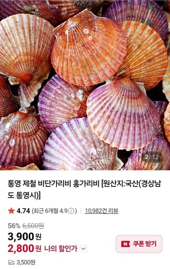 세척 홍가리비 4kg