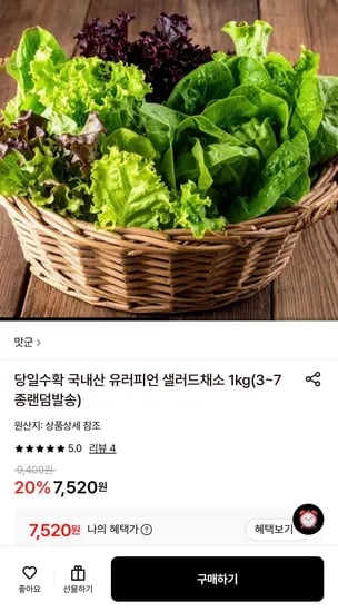 유러피언 샐러드채소 1kg (7,520원/무료)