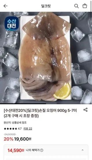 원양산 손질 오징어 900g 5-7미 (2개 구매 시 초장 증정) (14,590원/무료)