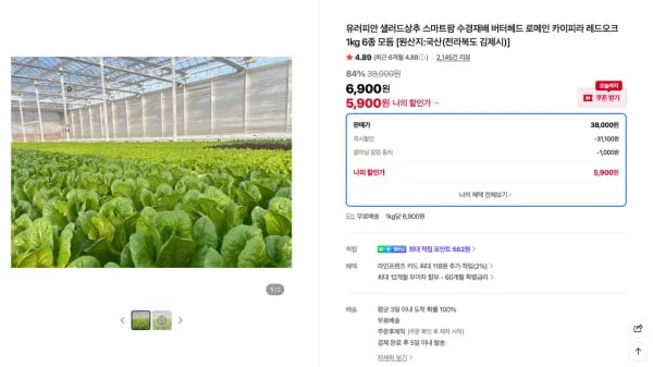 유러피안 샐러드상추 스마트팜 수경재배 1kg 베이직 4종 (5,900원/무료)