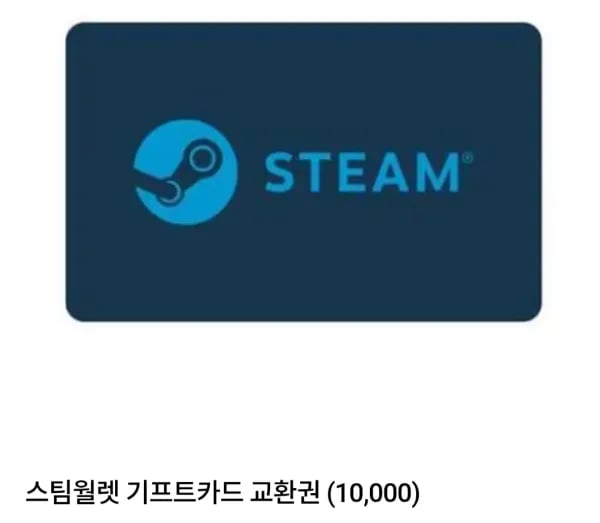 스팀월렛기프트카드 1만원 총 2개