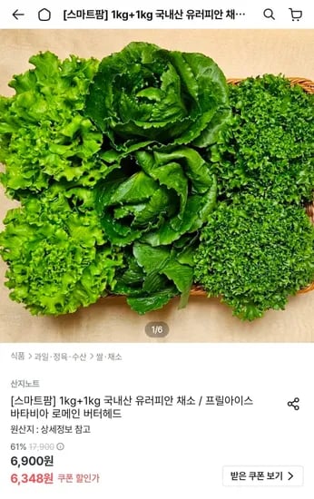 유러피안 채소 2kg