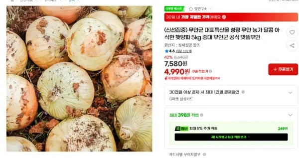 무안군 대표특산물 청정 무안 농가 달콤 아삭한 햇양파 5kg  (4,990원/무료)