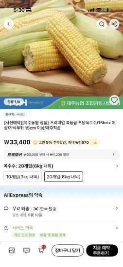 특등급 초당옥수수 외 다양 제주직송 총 2개