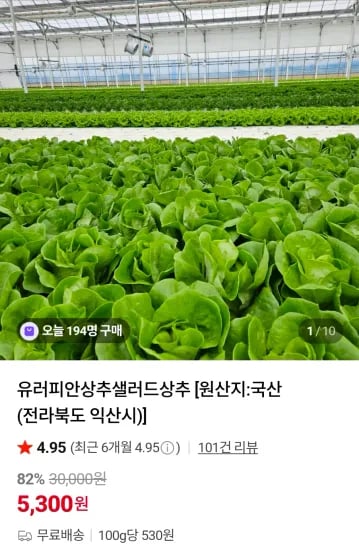 유러피안샐러드 1kg (5,300원/무료)