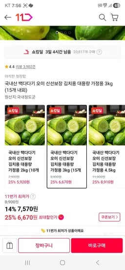 백다다기 오이 김치용 3kg