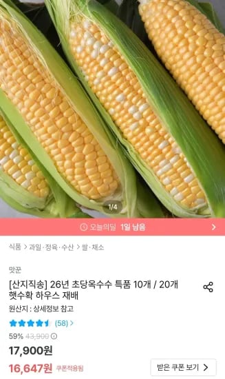 초당옥수수 10개 외 다양 14cm 이상