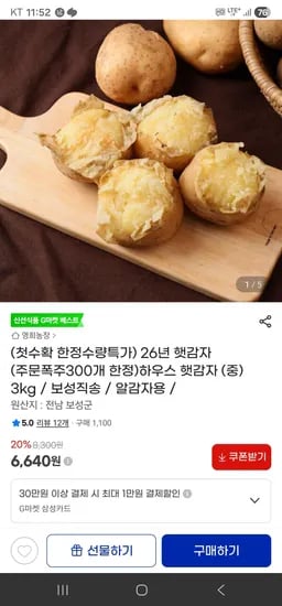 26년 햇감자  (주문폭주300개 한정)하우스 햇감자 (중) 3kg / 보성직송 / 알감자용 / (6,640원/무료)