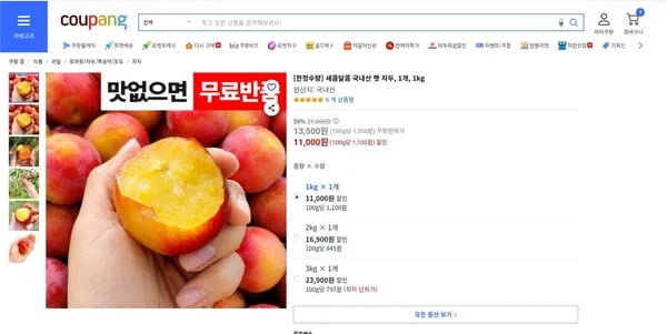 국내산 햇 자두 외 다양 1kg