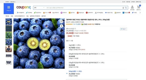 생블루베리 500g 외 다양