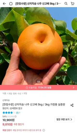 나주 신고배 3kg 가정용 외 다양