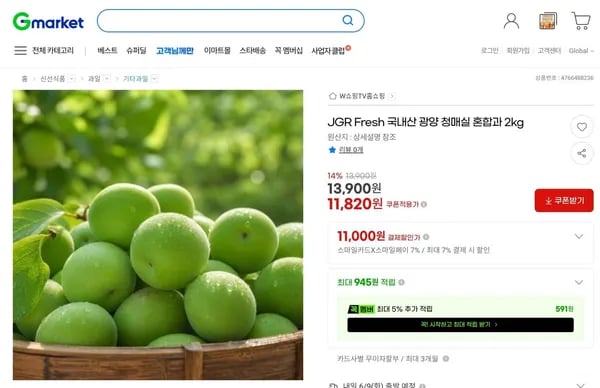 JGR Fresh 광양 청매실 혼합 외 다양 2kg