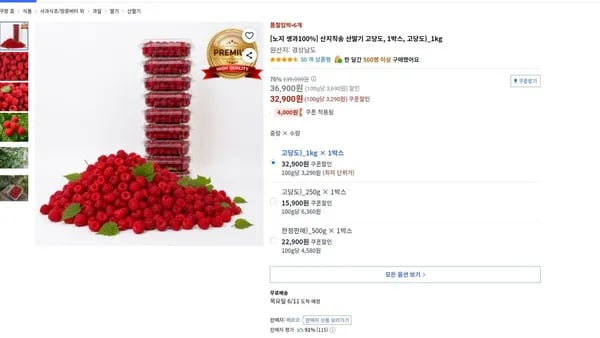 산지직송 고당도 산딸기 1박스 1kg 외 다양
