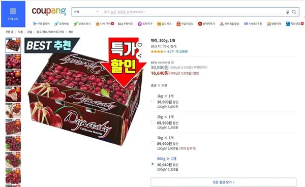 미국 체리 500g 외 다양