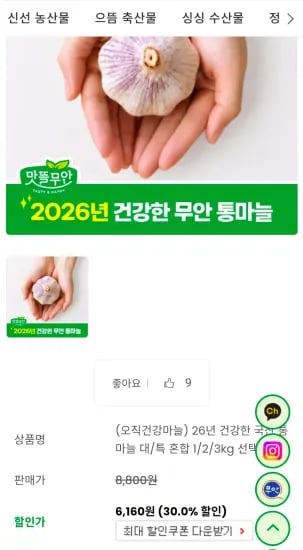 국산 통마늘 대/특 혼합 1kg 외 다양