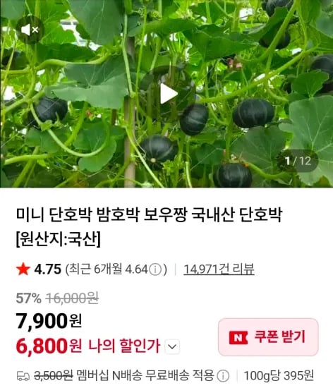 미니밤호박 5kg