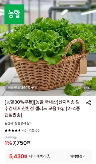 샐러드 모음 1kg 외 2~4종