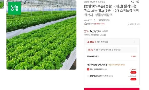 유러피안 샐러드용 채소 모듬 1kg 3종 이상