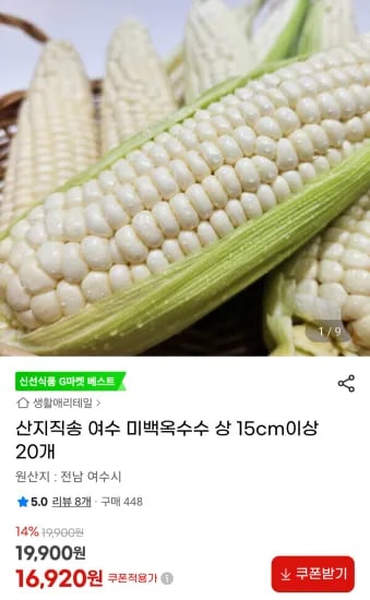 여수 미백옥수수 상 15cm 이상 20개
