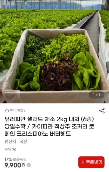 유러피안 샐러드 채소 2kg