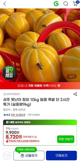 성주 못난이 참외 10kg (8,720원/무료)