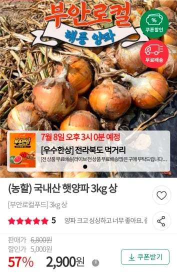 국내산 햇양파 3kg 상 (2,900원/무료)