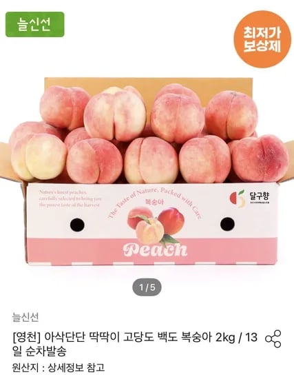 딱딱이 복숭아 백도 2kg 8과 로얄과 (12,992원/무료)