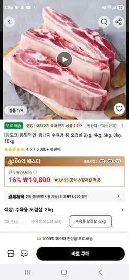 통밀먹인 암퇘지 프랑스산 오겹살 2kg (19,800원/무료)