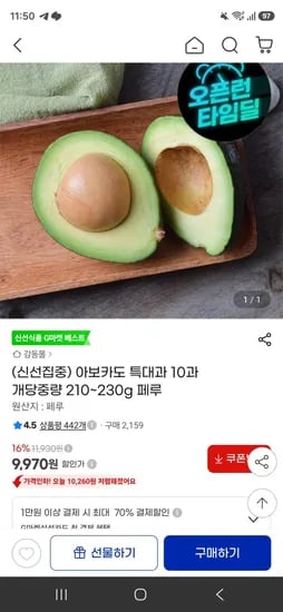 아보카도 특대과 10과 개당중량 210~230g 페루 (9,970원/무료)