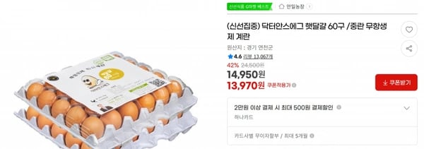 닥터안스에그 햇달걀 60구 /중란 무항생제 계란 < 13,970원    / 무료 배송 >