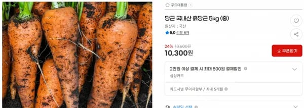 당근 국내산 흙당근 5kg (중) < 10,300원 / 무료 배송 >