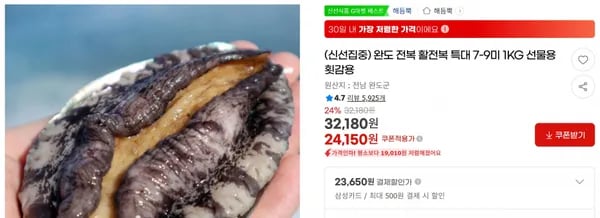 완도 전복 활전복 특대 7-9미 1KG 선물용 횟감용 < 24,150원 / 무료 배송 >