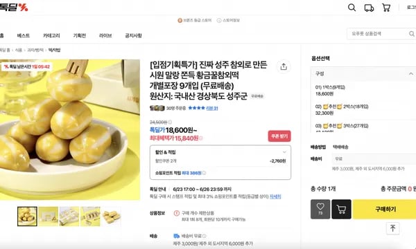 카카오) 진짜 성주 참외로 만든 시원 말랑 쫀득 황금꿀참외떡 개별포장 9개입 (15,840원/무배)