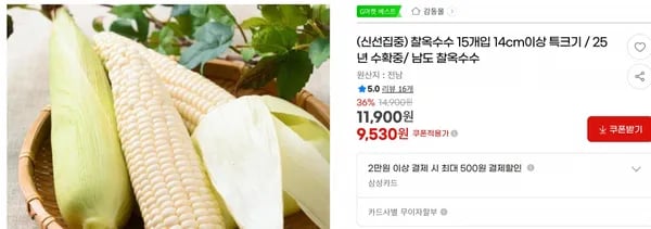 찰옥수수 15개입 14cm이상 특크기 / 25년 수확중/ 남도 찰옥수수 < 9,530원 / 무료 배송 >