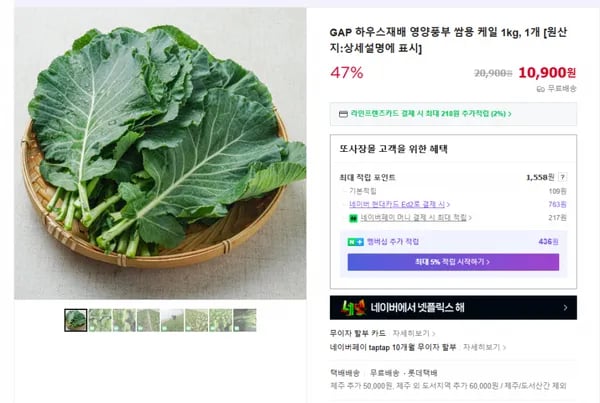 쌈용 케일 1kg (무배/10900원)