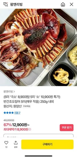반건조오징어 250g 소 5미 (8,900원/무료)