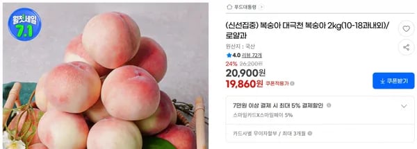 복숭아 대극천 복숭아 2kg(10-18과내외)/로얄과 < 19,860원  / 무료 배송 >